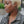 Bequeen 613 Platinum Super Short Cut Pixie Wig