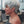 Bequeen Grey Color Natrual Glueless Pixie Wig