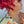 Bequeen Machine Made Fashion Red Topper