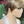 Bequeen Two-Color  Straight Pixie Cut Wig