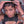 Bequeen Fashion Machine Made Topper