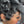 Bequeen Sexy Finger Wave Lace Pixie Cut Wig
