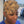 Bequeen Machine Made Fashion Yellow Topper